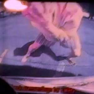 Meet your Posher, Jake